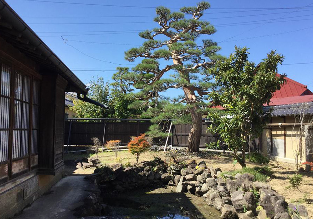 宮澤家の庭。江戸時代に作られました